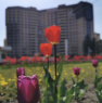 Жилой комплекс "Green-ПАРК"